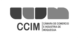 LOGOTIPO-01 1