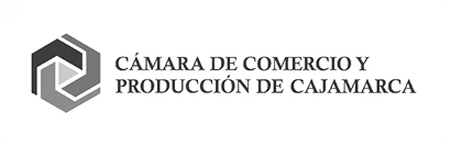 LOGOTIPO-03 1